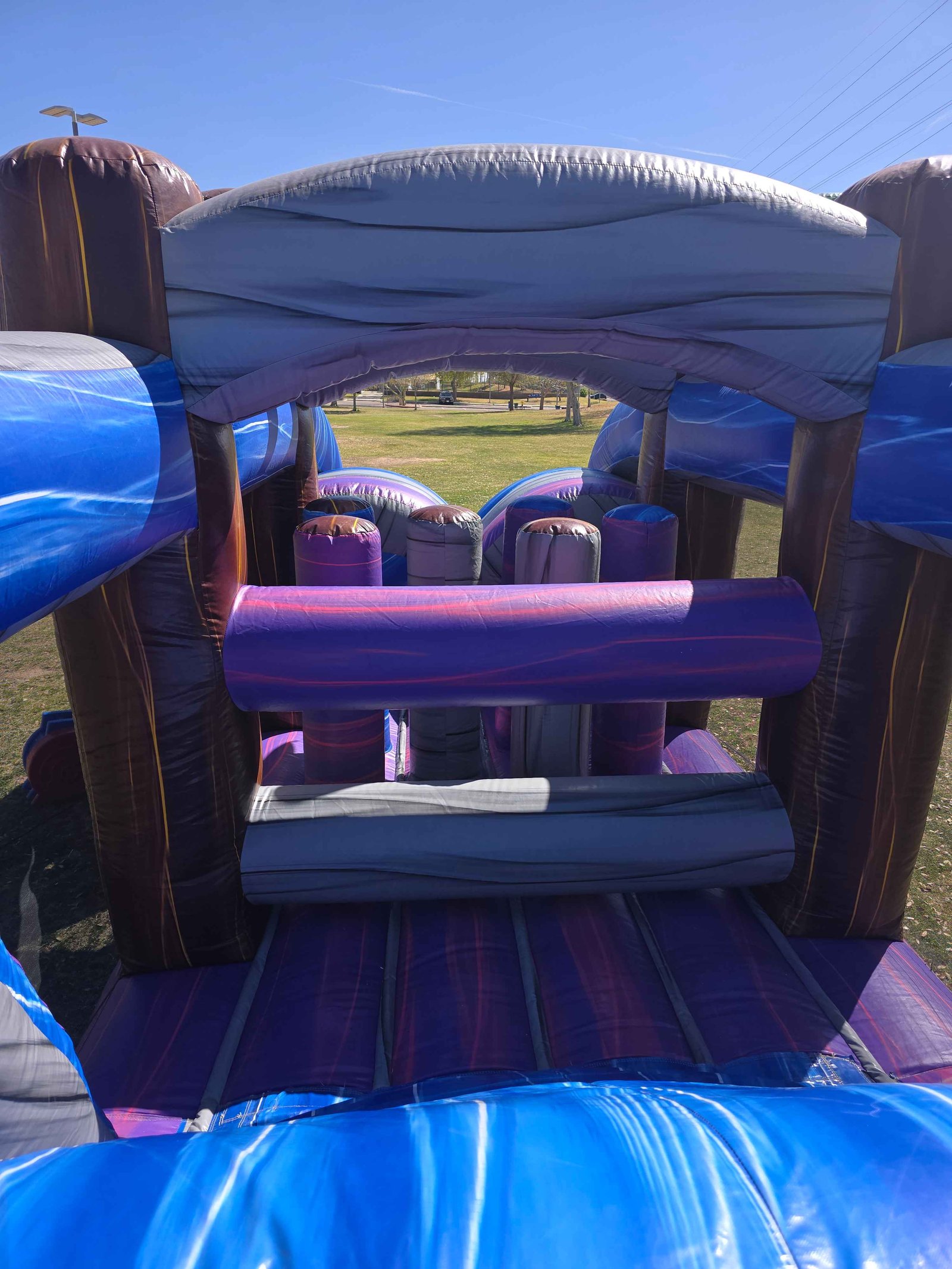 Dinosaur Obstacle Course