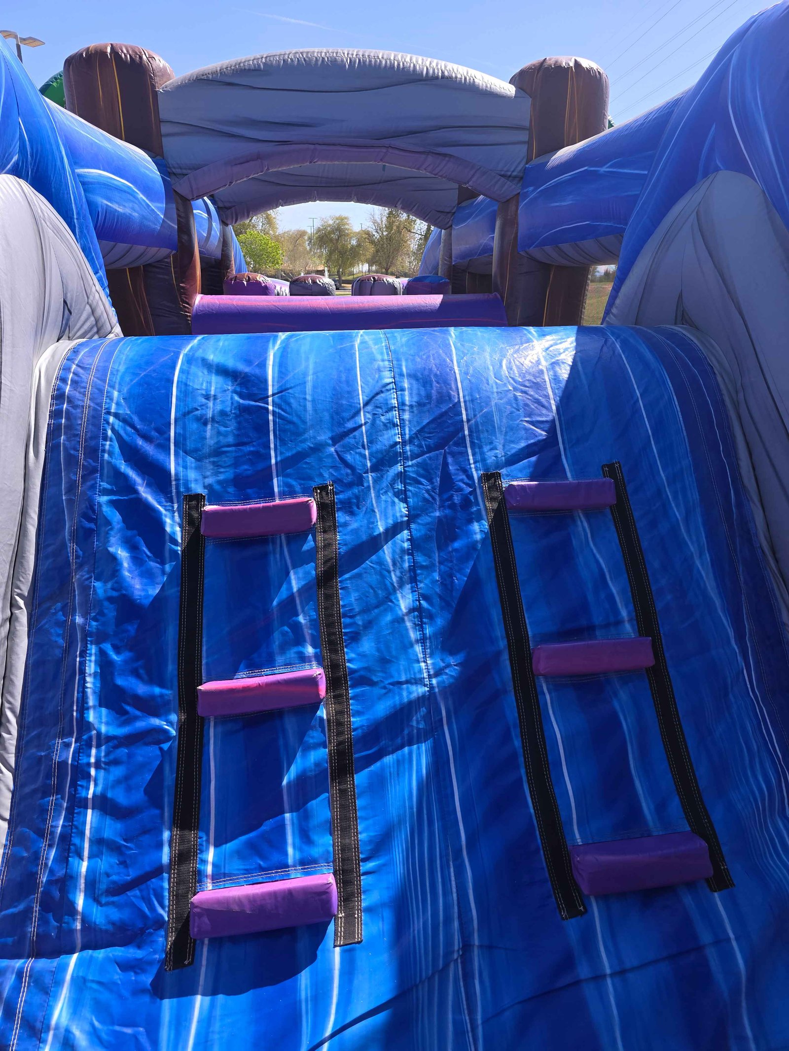 Dinosaur Obstacle Course