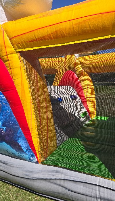 Dinosaur Obstacle Course